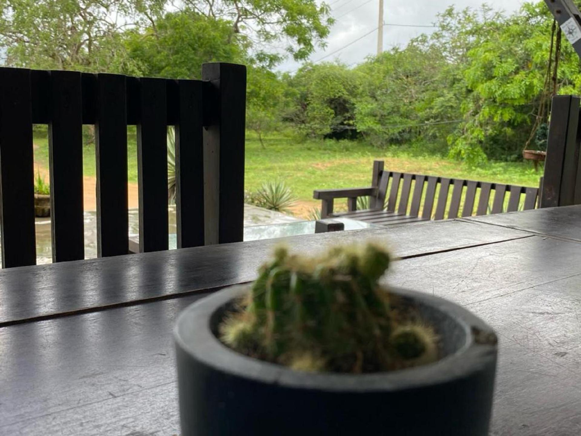 Yala Ying Yang Hostel & Camping Eksteriør bilde