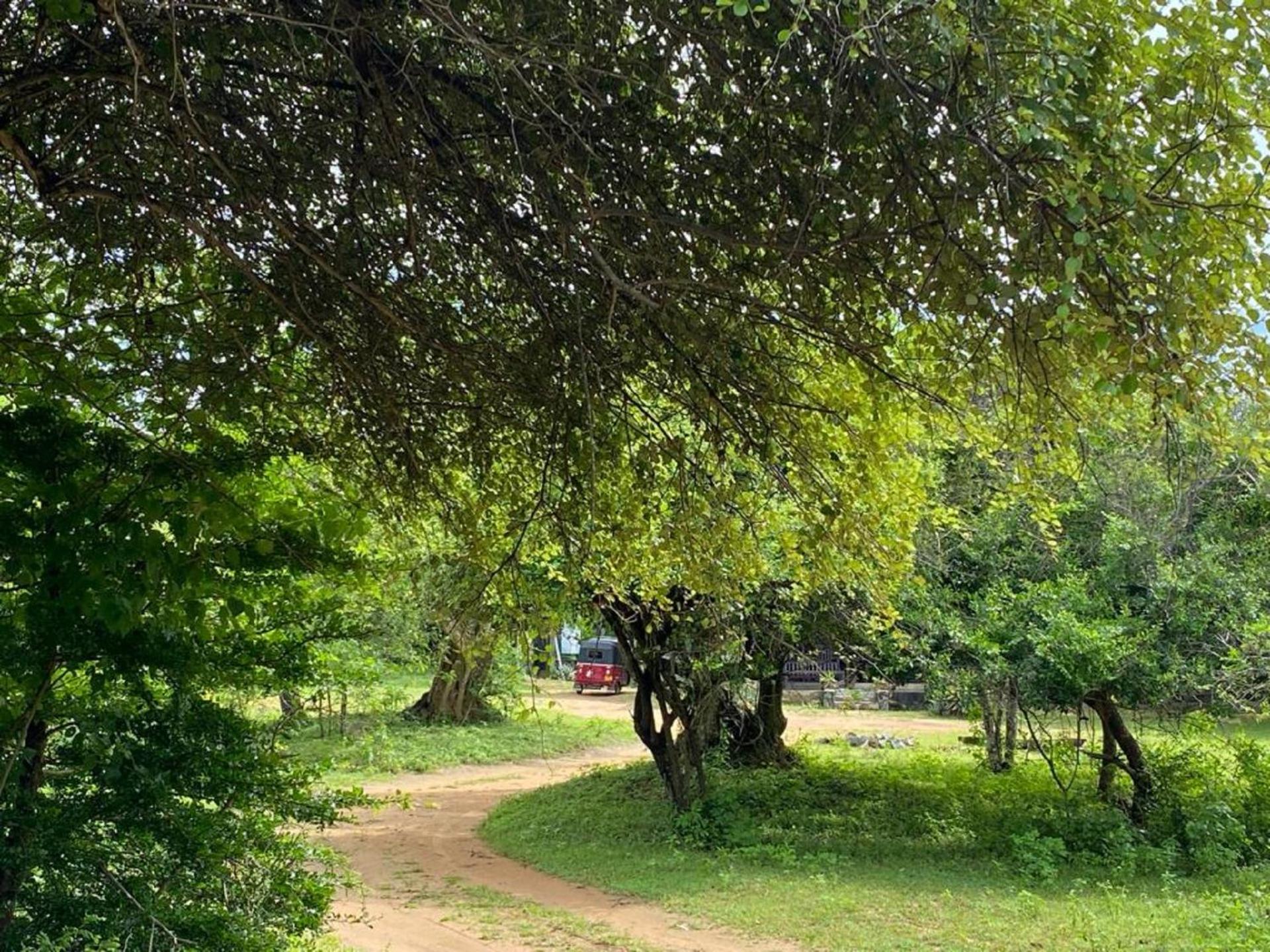 Yala Ying Yang Hostel & Camping Eksteriør bilde
