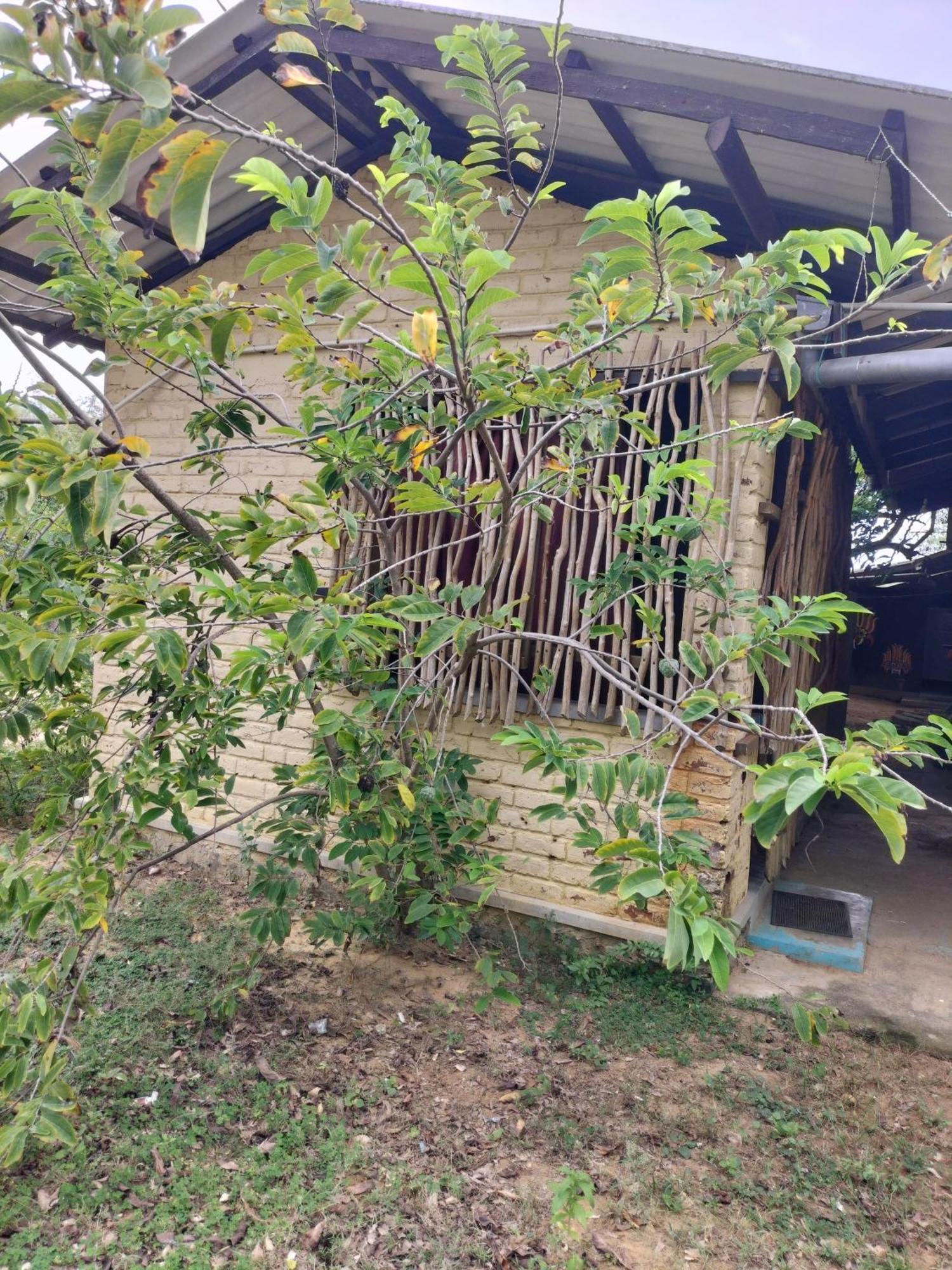 Yala Ying Yang Hostel & Camping Eksteriør bilde